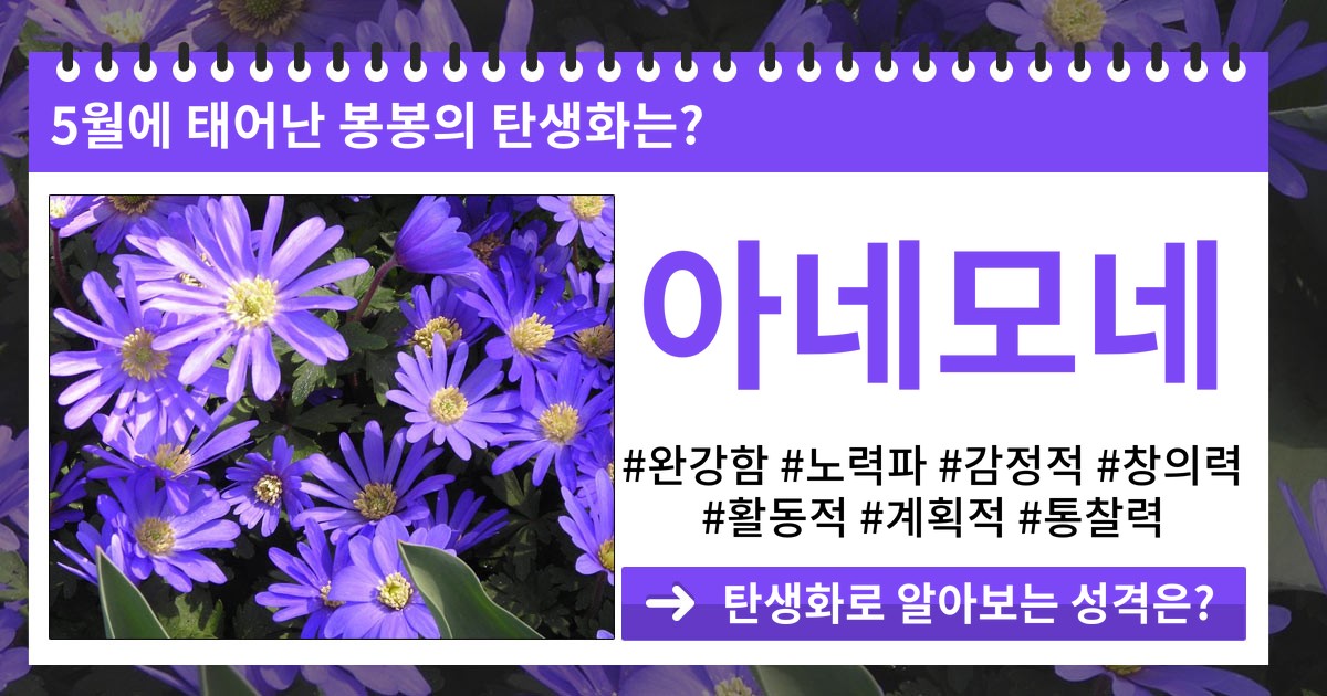 당신의 탄생화로 알아보는 성격은?